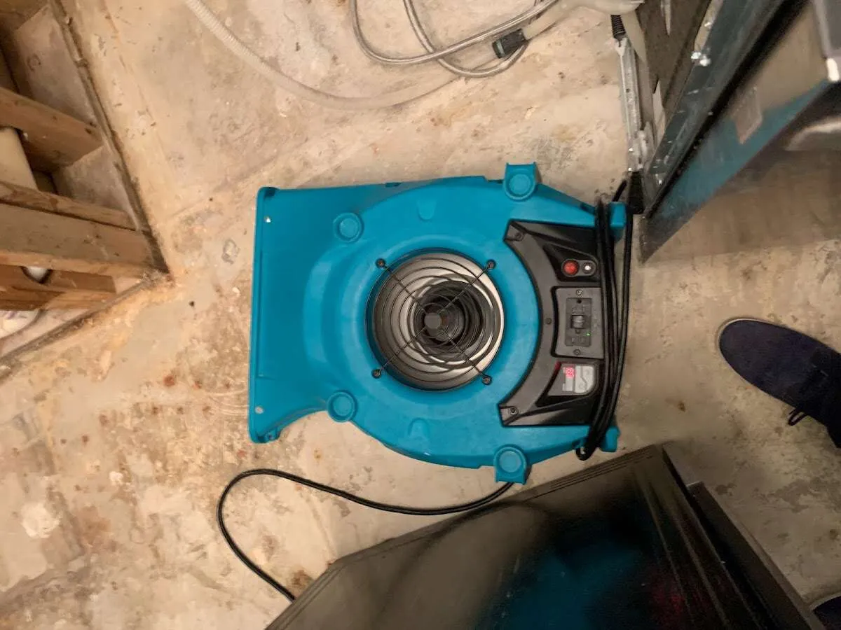 Air mover drying equipment for Mold Remediation & Removal in Jessup